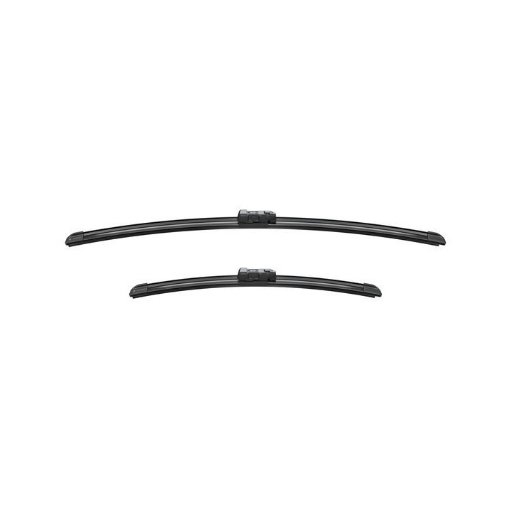 Valytuvai BOSCH 3 397 007 295