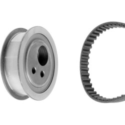 Paskirstymo diržo komplektas BOSCH 1 987 948 559