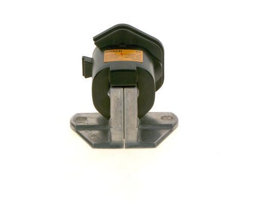 Ritė, uždegimas BOSCH 0 221 502 431