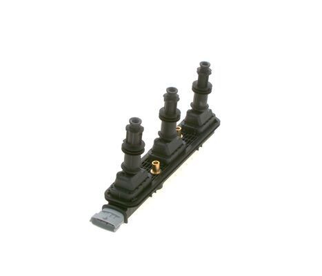 Ritė, uždegimas BOSCH 0 221 503 027