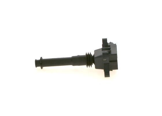 Ritė, uždegimas BOSCH 0 221 504 014