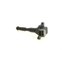 Ritė, uždegimas BOSCH 0 221 504 029