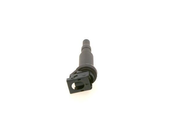 Ritė, uždegimas BOSCH 0 221 504 464