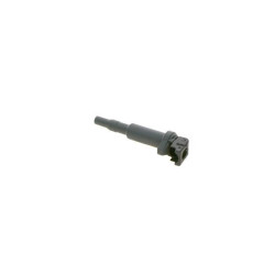 Ritė, uždegimas BOSCH 0 221 504 471