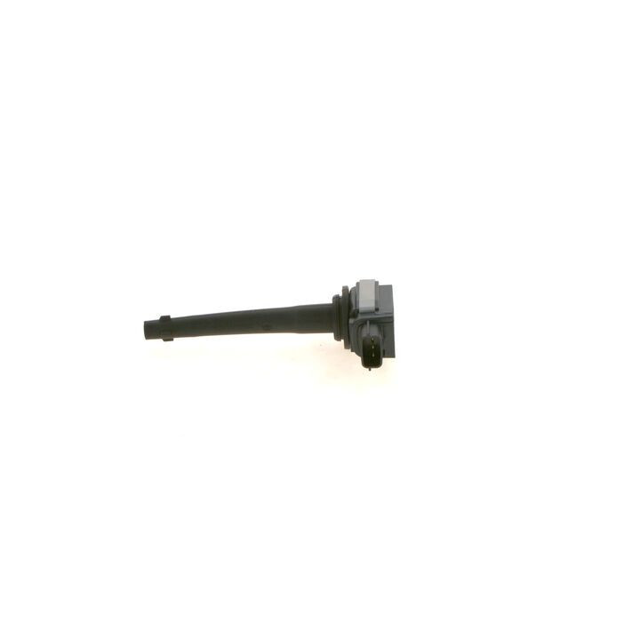 Ritė, uždegimas BOSCH 0 221 604 014