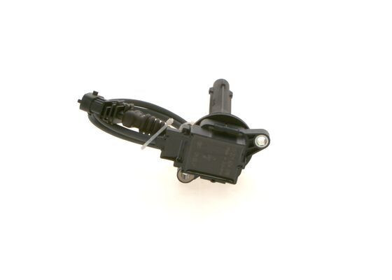Ritė, uždegimas BOSCH 0 221 604 018