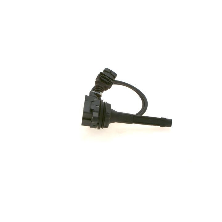 Ritė, uždegimas BOSCH 0 221 604 018