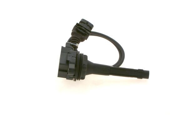 Ritė, uždegimas BOSCH 0 221 604 018