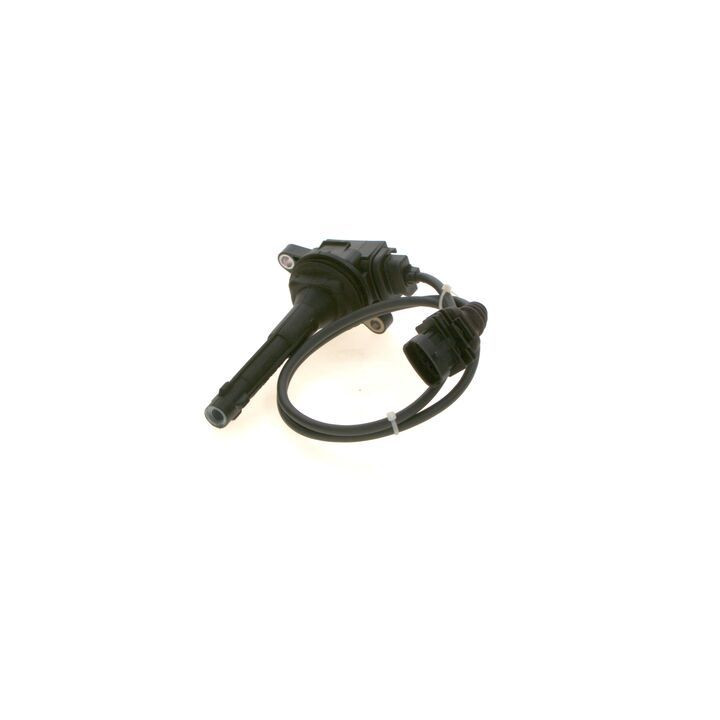 Ritė, uždegimas BOSCH 0 221 604 019