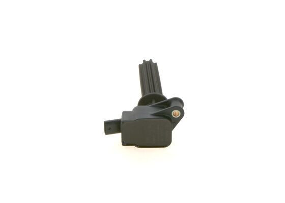 Ritė, uždegimas BOSCH 0 221 604 700