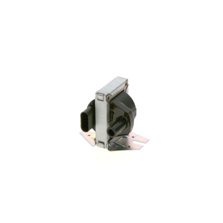 Ritė, uždegimas BOSCH 0 986 221 037