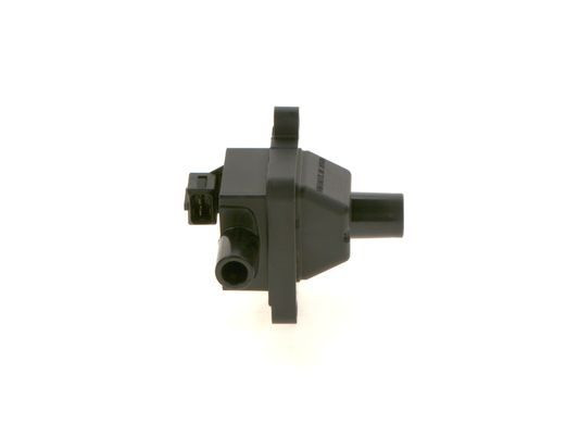 Ritė, uždegimas BOSCH 1 227 030 059