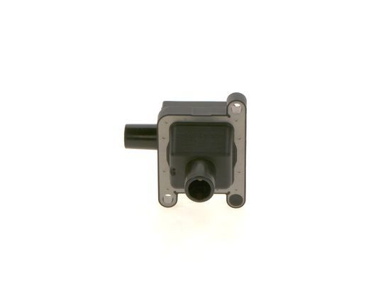 Ritė, uždegimas BOSCH 1 227 030 059