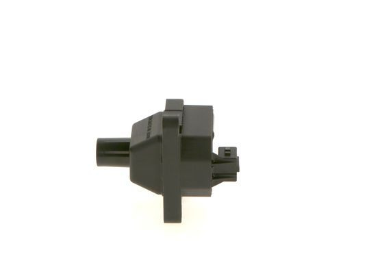 Ritė, uždegimas BOSCH 1 227 030 059