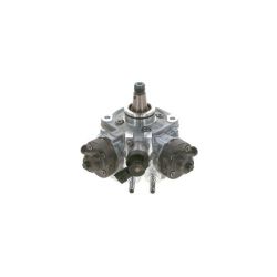 Aukšto slėgio siurblys BOSCH 0 445 010 689