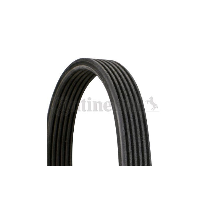 V formos rumbuoti diržai CONTINENTAL CTAM 6DPK1237