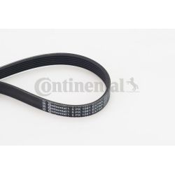 V formos rumbuoti diržai CONTINENTAL CTAM 6PK1061 EXTRA