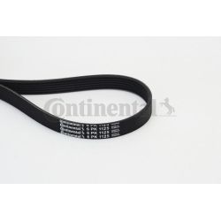 V formos rumbuoti diržai CONTINENTAL CTAM 6PK1125