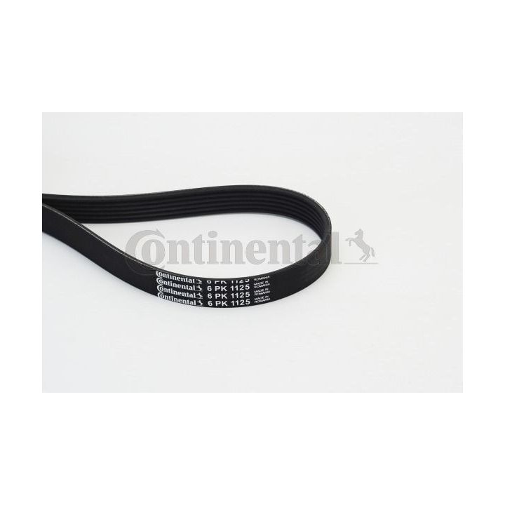 V formos rumbuoti diržai CONTINENTAL CTAM 6PK1125