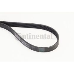 V formos rumbuoti diržai CONTINENTAL CTAM 6PK1173