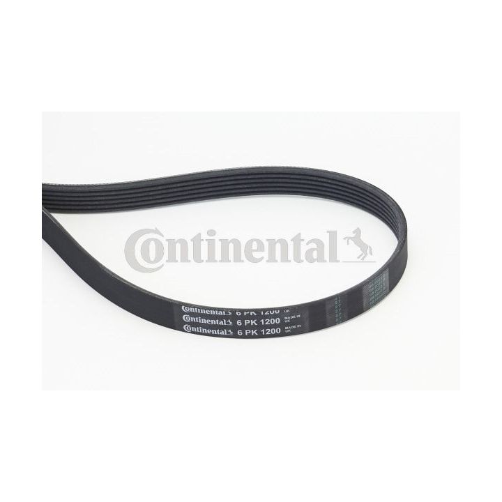 V formos rumbuoti diržai CONTINENTAL CTAM 6PK1200