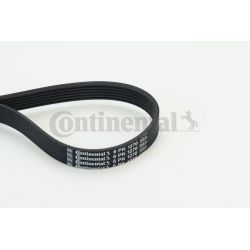 V formos rumbuoti diržai CONTINENTAL CTAM 6PK1270