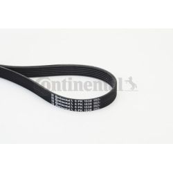 V formos rumbuoti diržai CONTINENTAL CTAM 6PK1538
