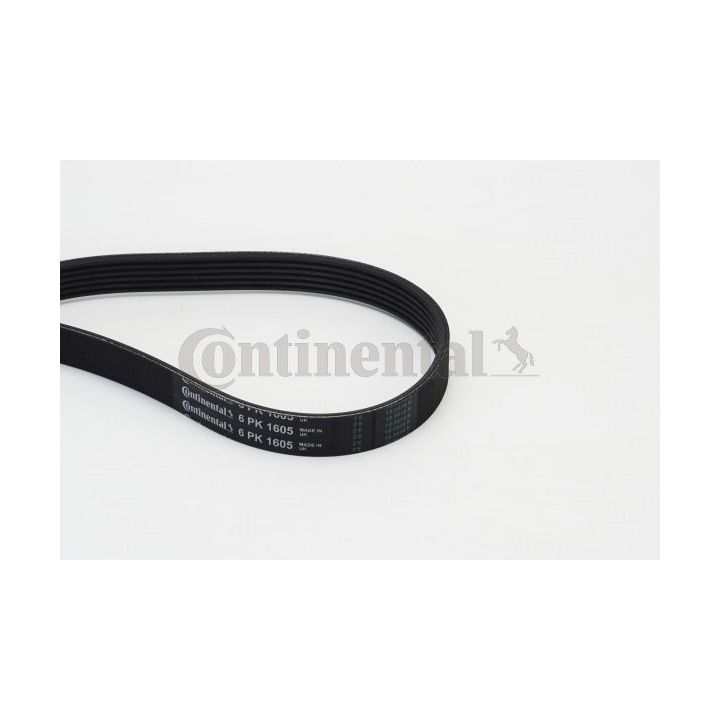 V formos rumbuoti diržai CONTINENTAL CTAM 6PK1605