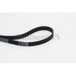 V formos rumbuoti diržai CONTINENTAL CTAM 6PK1642