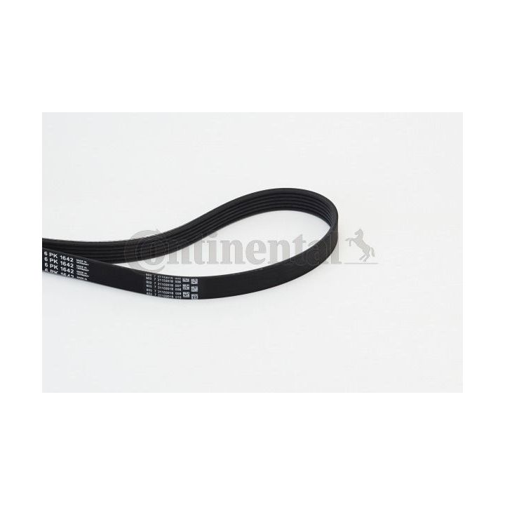 V formos rumbuoti diržai CONTINENTAL CTAM 6PK1642