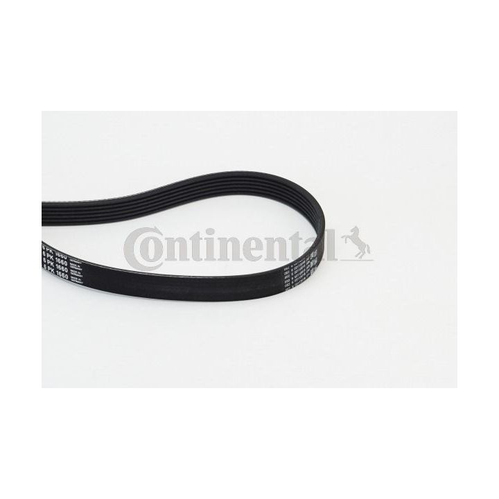 V formos rumbuoti diržai CONTINENTAL CTAM 6PK1660
