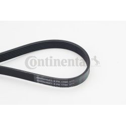 V formos rumbuoti diržai CONTINENTAL CTAM 6PK1780