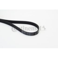 V formos rumbuoti diržai CONTINENTAL CTAM 6PK2000