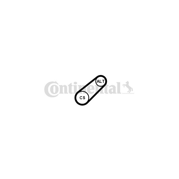 V formos rumbuoti diržai CONTINENTAL CTAM 6PK799 ELAST