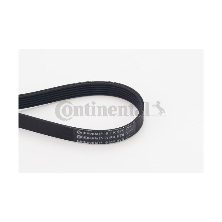 V formos rumbuoti diržai CONTINENTAL CTAM 6PK976