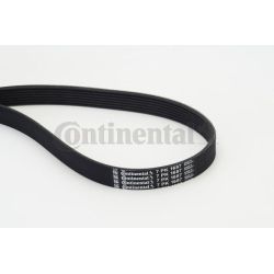 V formos rumbuoti diržai CONTINENTAL CTAM 7PK1687