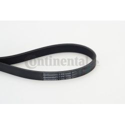 V formos rumbuoti diržai CONTINENTAL CTAM 7PK1705