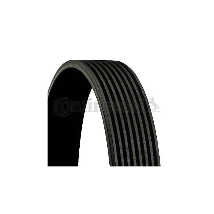 V formos rumbuoti diržai CONTINENTAL CTAM 8PK1310 EXTRA