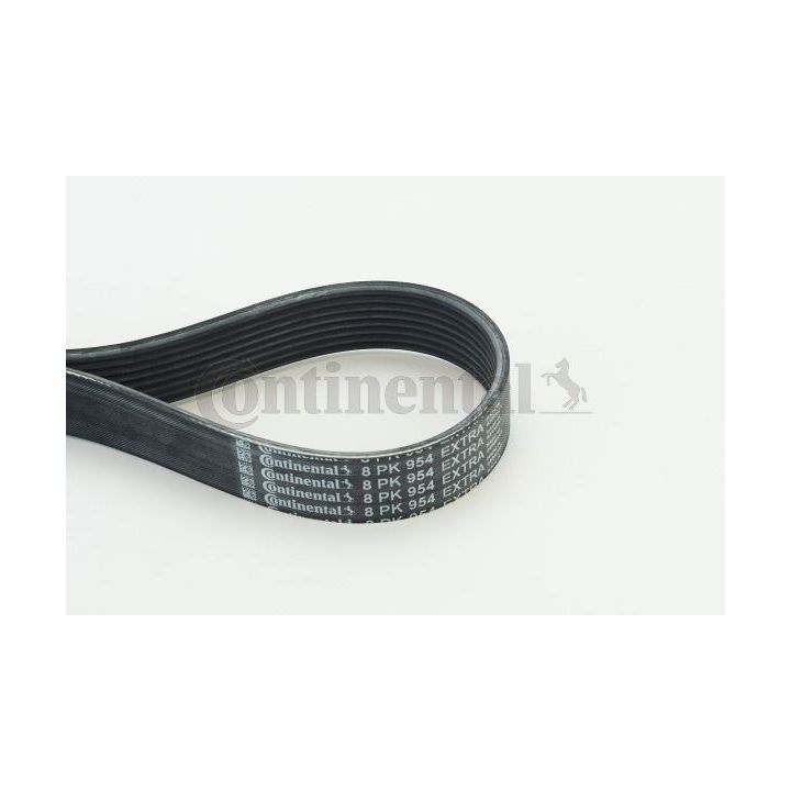 V formos rumbuoti diržai CONTINENTAL CTAM 8PK954 EXTRA