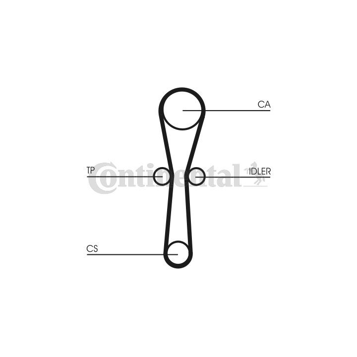 Paskirstymo diržas CONTINENTAL CTAM CT1041