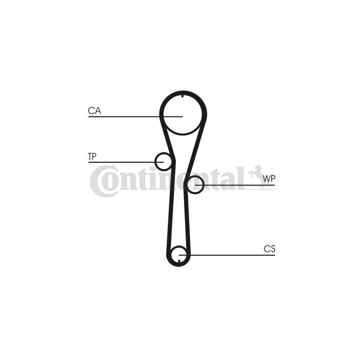 Paskirstymo diržas CONTINENTAL CTAM CT1045
