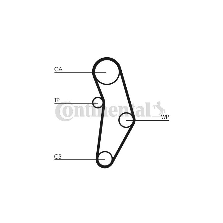 Paskirstymo diržas CONTINENTAL CTAM CT1049