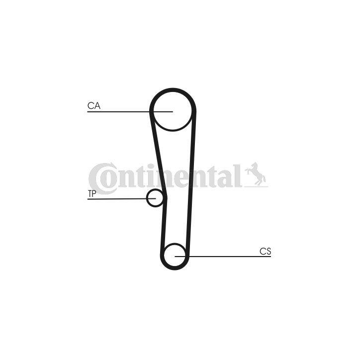 Paskirstymo diržas CONTINENTAL CTAM CT1062