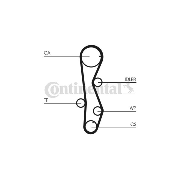 Paskirstymo diržas CONTINENTAL CTAM CT1099