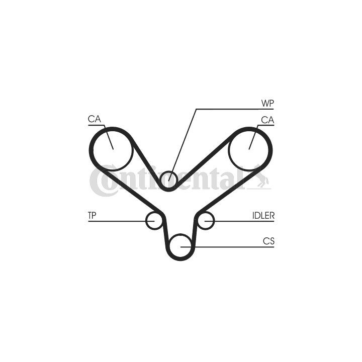 Paskirstymo diržas CONTINENTAL CTAM CT1175