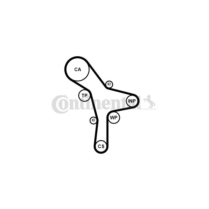 Paskirstymo diržas CONTINENTAL CTAM CT1176