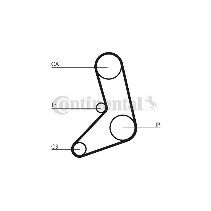 Paskirstymo diržas CONTINENTAL CTAM CT542