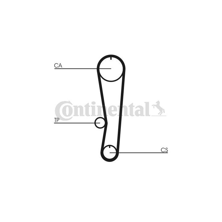 Paskirstymo diržas CONTINENTAL CTAM CT568
