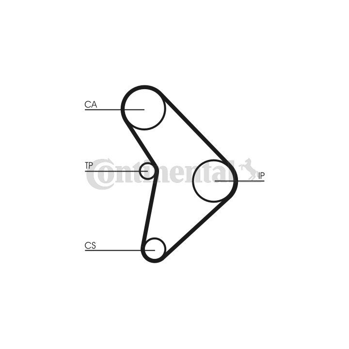 Paskirstymo diržas CONTINENTAL CTAM CT592