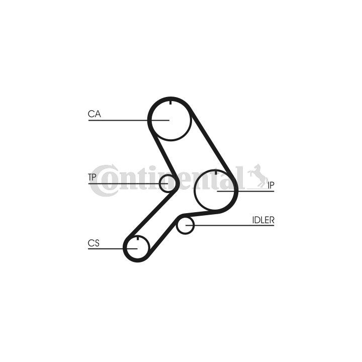 Paskirstymo diržas CONTINENTAL CTAM CT619